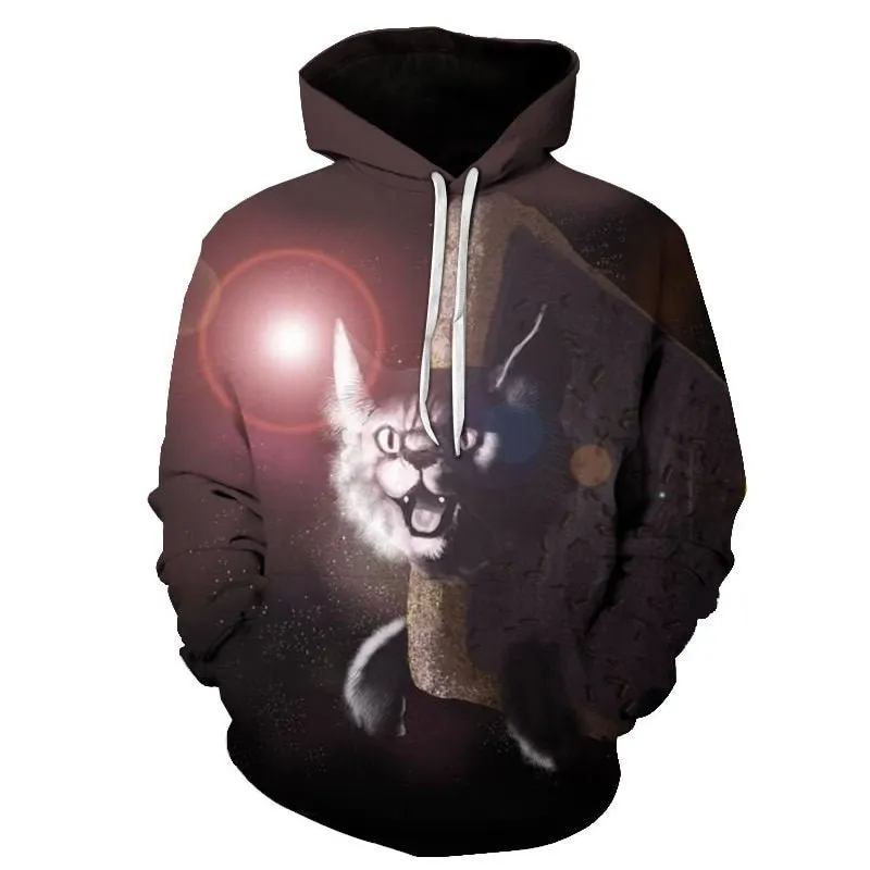 Cartoon kawaii hoodies 3D Printed Cat oversize Mens women's Sweatshirt Pullover Long Sleeve Hooded Sweatshirts Tops