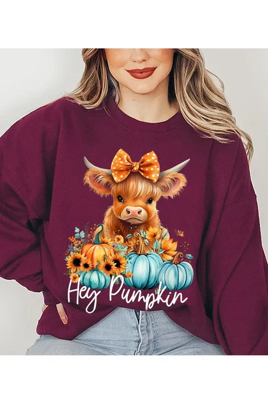 Highland Cow Cutie