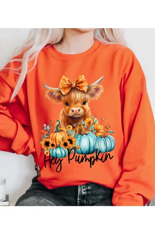 Highland Cow Cutie
