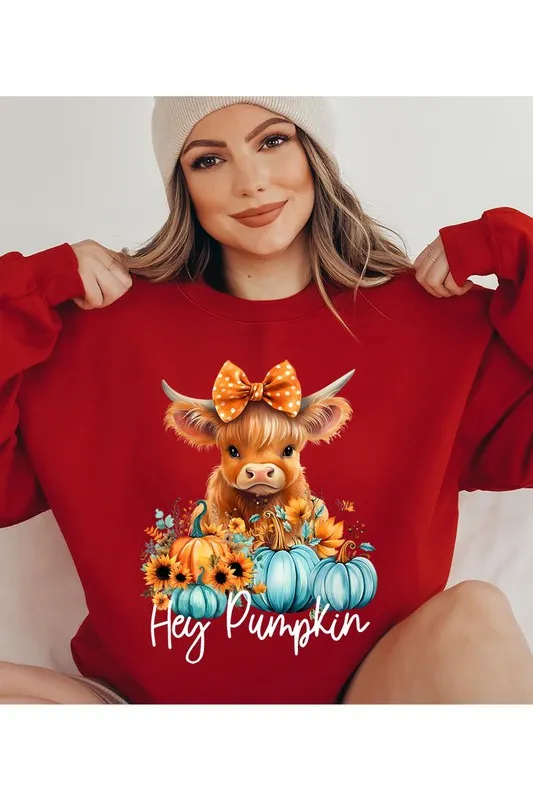 Highland Cow Cutie