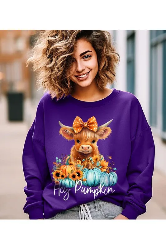 Highland Cow Cutie