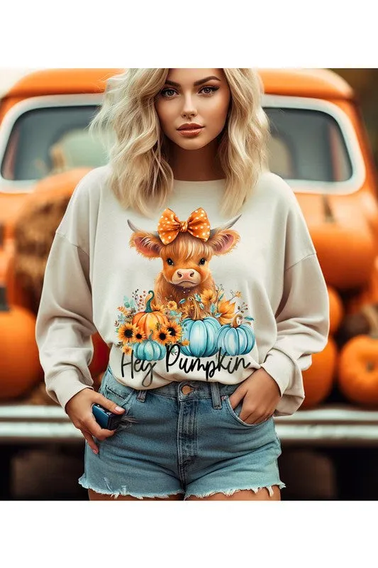 Highland Cow Cutie