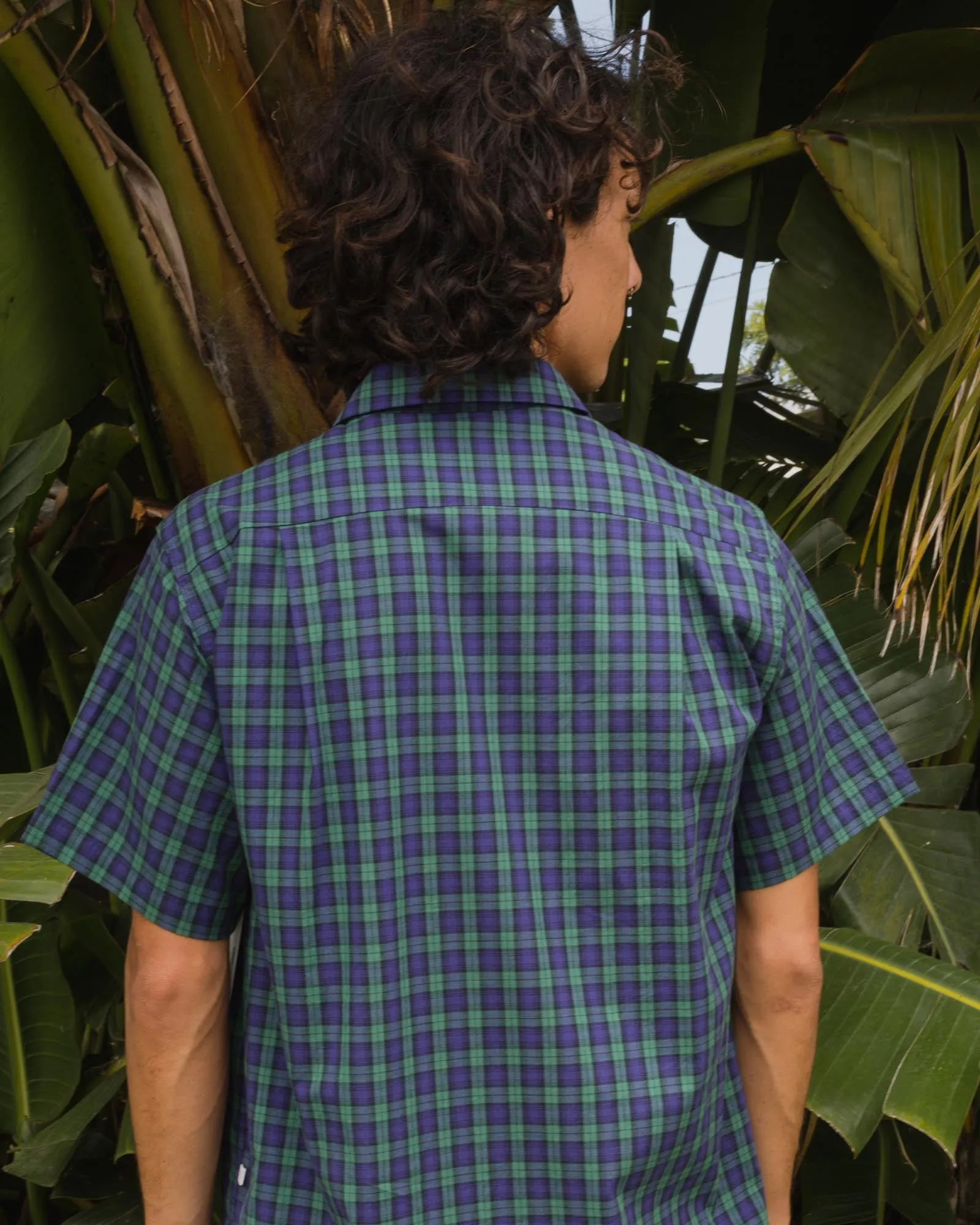 Yellow Rat Round Collar Shirt- Hunter